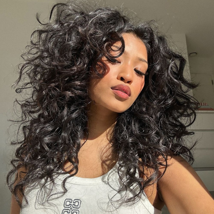 Glueless Frizzy Human Hair Clear Transparent Lace Front Bouncy Curly Wigs For Women-Bangjazz Hair