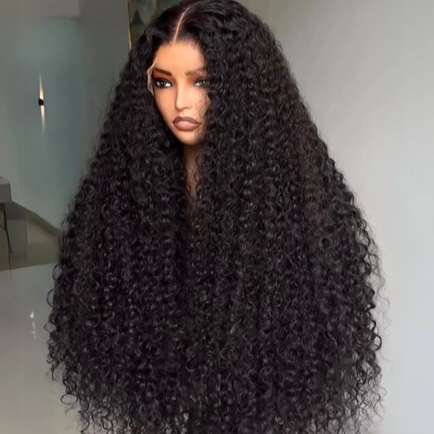 300% Density Luxury custom wigs Glueless 13x4 Full Lace Front Curly Wigs Virgin Human Hair Transparent Lace Front Wig Super Double Drawn Level - Bangjazz Hair
