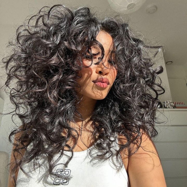 Glueless Frizzy Human Hair Clear Transparent Lace Front Bouncy Curly Wigs For Women-Bangjazz Hair
