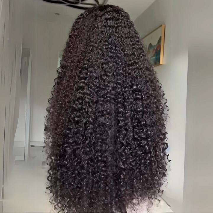 300% Density Luxury custom wigs Glueless 13x4 Full Lace Front Curly Wigs Virgin Human Hair Transparent Lace Front Wig Super Double Drawn Level - Bangjazz Hair
